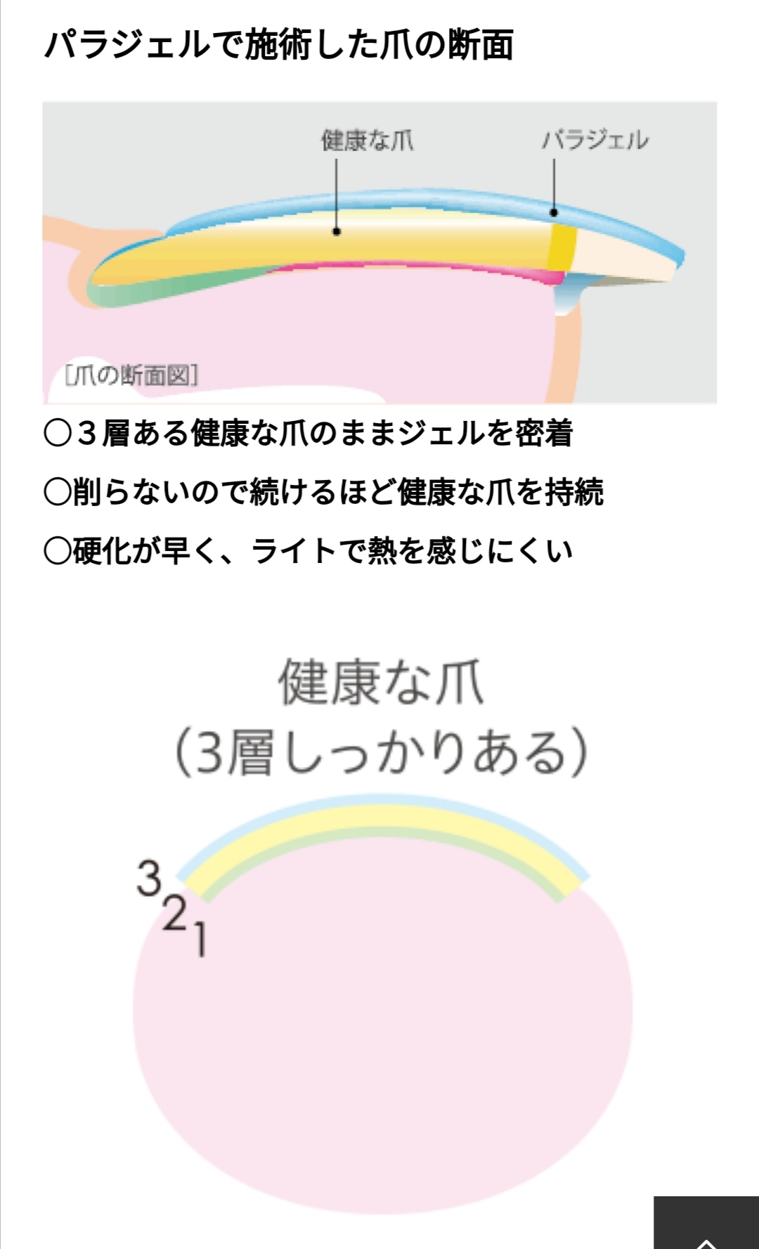 パラジェルとは Elmo Glan ネイルとまつ毛エクステ専門サロン